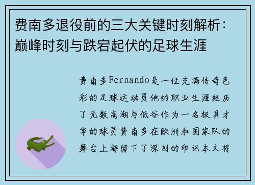 费南多退役前的三大关键时刻解析：巅峰时刻与跌宕起伏的足球生涯