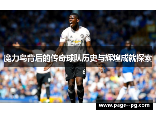 魔力鸟背后的传奇球队历史与辉煌成就探索