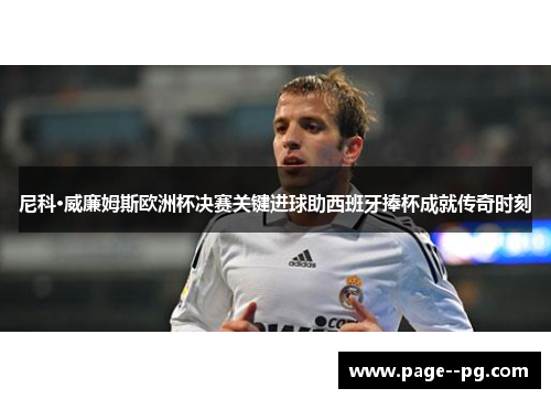 尼科·威廉姆斯欧洲杯决赛关键进球助西班牙捧杯成就传奇时刻 尼科·威廉姆斯欧洲杯决赛关键进球助西班牙捧杯成就传奇时刻