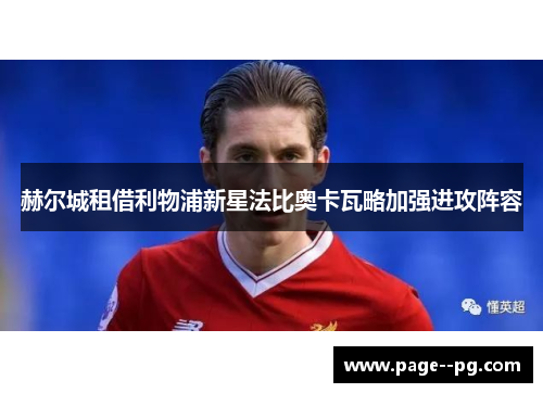 赫尔城租借利物浦新星法比奥卡瓦略加强进攻阵容 赫尔城租借利物浦新星法比奥卡瓦略加强进攻阵容