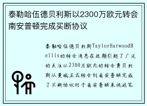 泰勒哈伍德贝利斯以2300万欧元转会南安普顿完成买断协议